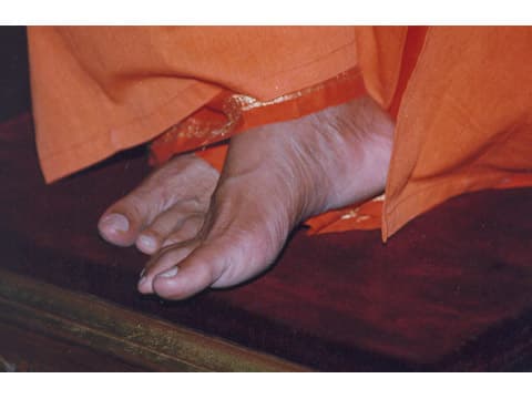 Sandeha Nivarini - 185