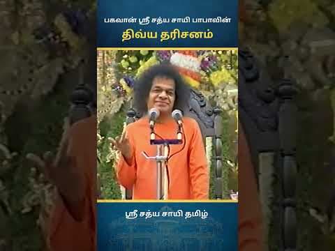 சாயி திவ்ய தரிசனம் | Sai Divine Darshan