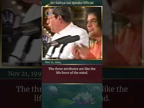 Recognise Your Divinity to Avoid Wicked Actions | Sri Sathya Sai Speaks | Nov 21, 1994