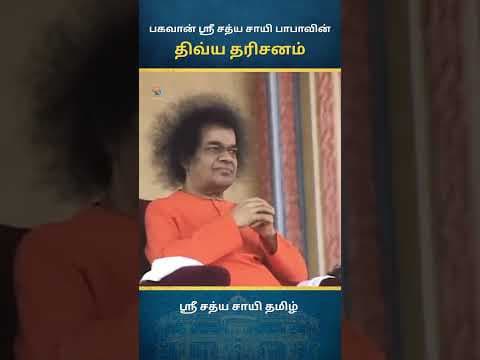 சாயி திவ்ய தரிசனம் | Sai Divine Darshan