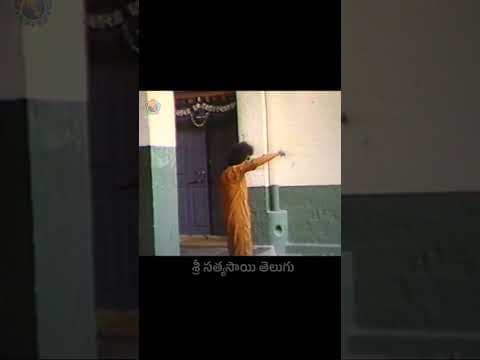 దివ్య దర్శనం | Divine Darshan