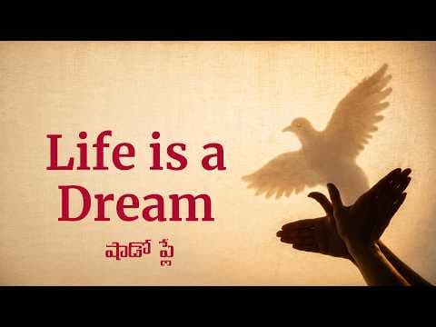Life is a Dream | Shadow Play | 15th Anniversary Celebrations