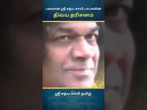 சாயி திவ்ய தரிசனம் | Sai Divine Darshan