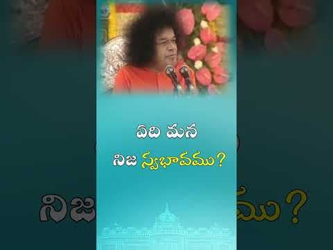 ఏది మన నిజ స్వభావము? | What is our true nature?