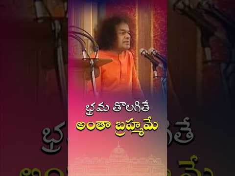 భ్రమ తొలగితే అంతా బ్రహ్మమే | Once illusion disappears, all is Divine Consciousness