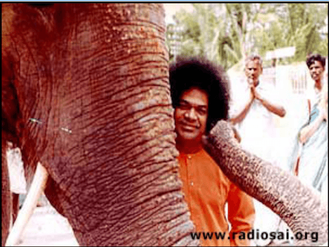 SAI GEETHA
